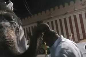 IMG-20251113-WA0108