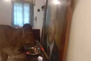 IMG-20251113-WA0113