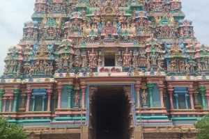 IMG-20251113-WA0135