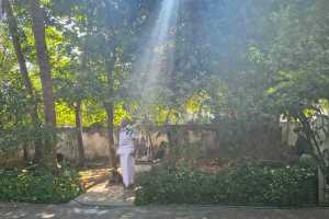 IMG-20251113-WA0172