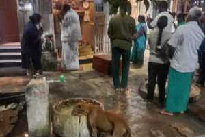 IMG-20251113-WA0187