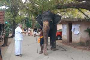 IMG-20251113-WA0219