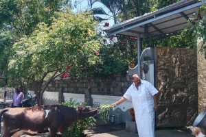 IMG-20251113-WA0221